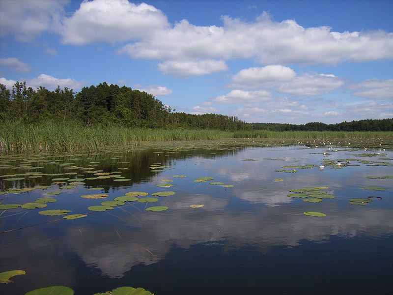 oderbruchscheune, oderbruch, ausflugsziele, tourismus, brandenburg, Ausflugstipp, Urlaub, Oderland,