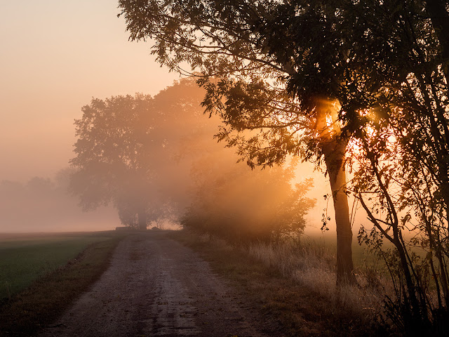 Jost Schilgen, Fotografie, Oderbruch, Fotobuch, Kunst, Oderbruchscheune